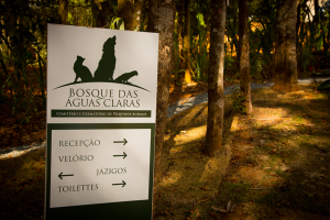 bosque-das-aguas-claras02